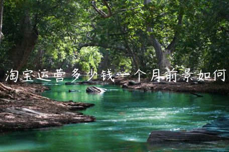 淘寶運(yùn)營(yíng)多少錢一個(gè)月前景如何